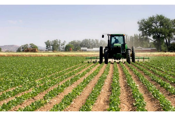  26 طرح کشاورزی و دامپروری در کرمان به بهره برداری می رسد