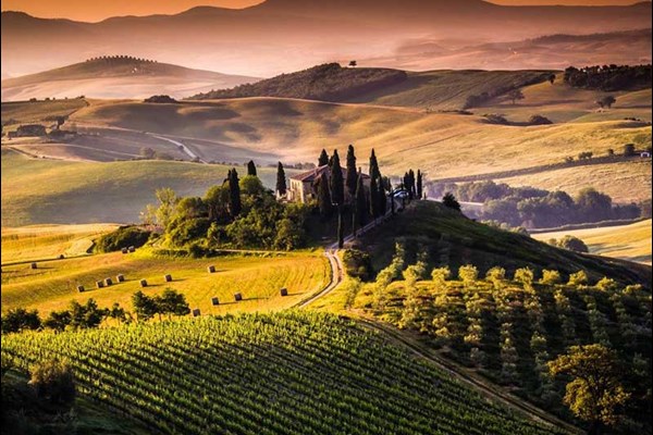 جنگل بیشتر؛ کربن کمتر