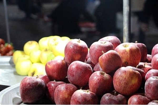 ۲۳هزار تن؛ ذخیره سازی سیب برای شب عید