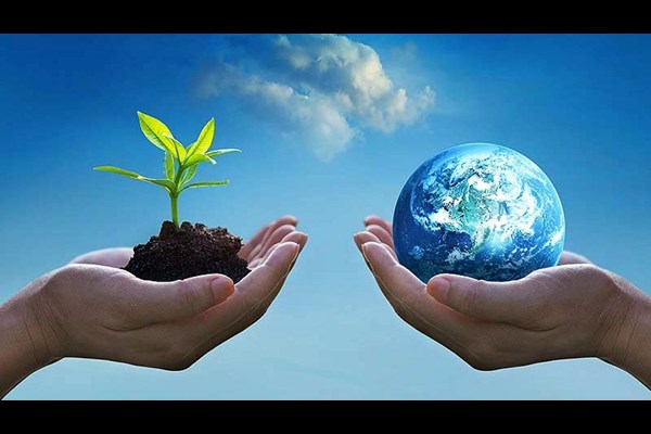 تخریب اکوسیستم‌ها؛ چرا و چگونه؟