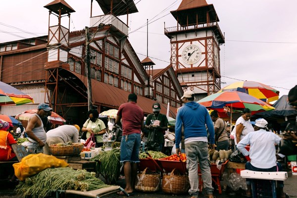 «گویان» تحلیل‌گران را شگفت‌زده کرد