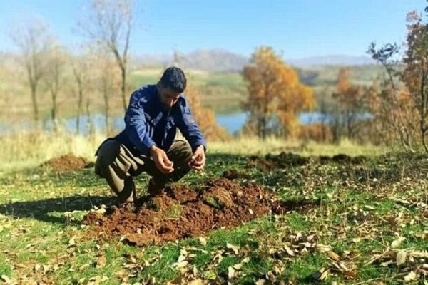 احاله ۲ طرح مرتع‌داری در کرمان