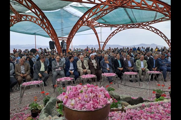 جشنواره گل محمدی در ایستگاه پانزدهم