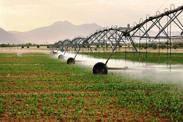 اجرای آبیاری نوین در ۹۷ هزار هکتار اراضی کشاورزی 