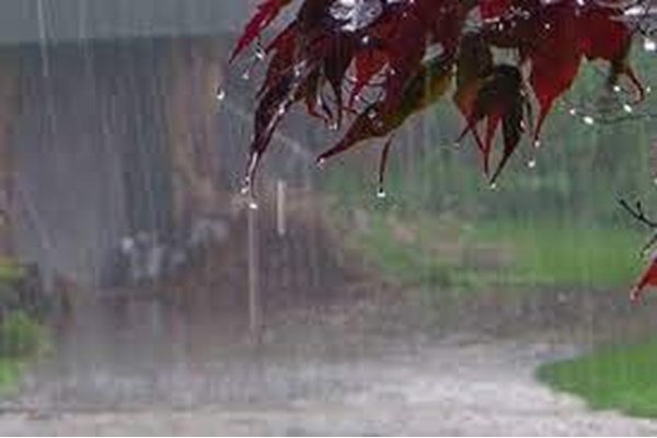 آخرین وضعیت بارندگی‌ها استان کرمان