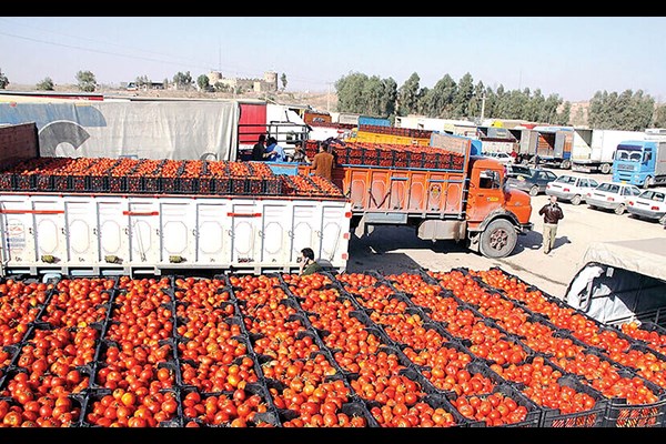 کشاورزی در حصار بخشنامه‌ها