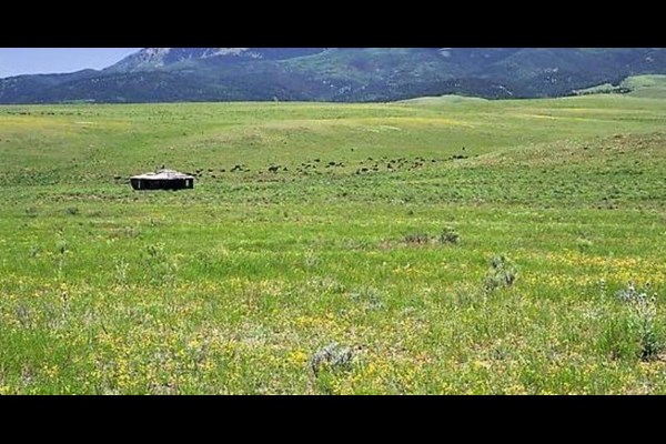 ۹ هزار هکتار از مراتع قابل بهره‌برداری شد