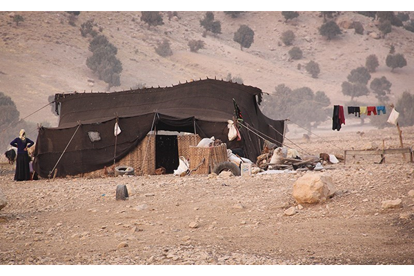 نابودی ۸۰ درصد مراتع استان کرمان