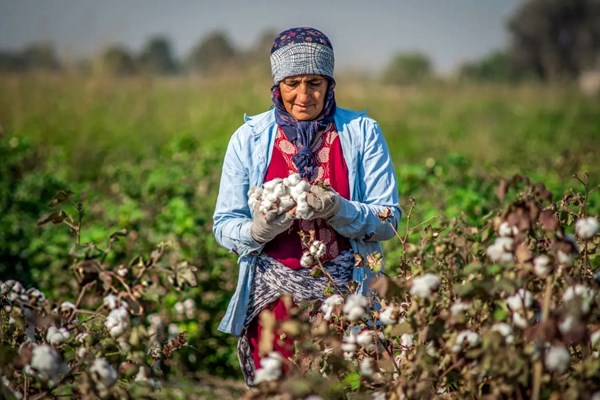 صندوق بیمه روستاییان در مسیر بحران