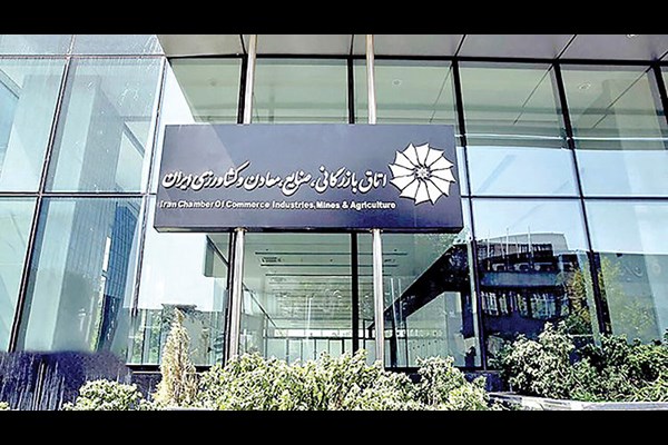 بار دولت بر دوش بخش‌خصوصی