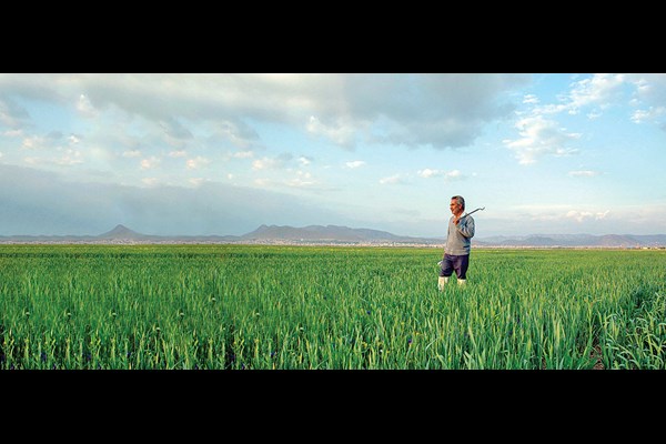 پدافند غذایی در ایام جنگ