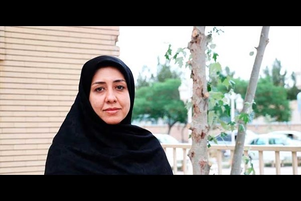 تسری توسعه از «شفیع آباد» 