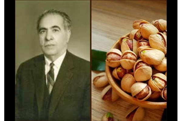 اولین تاجر پسته ایرانی