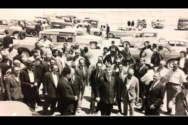 مستندی درباره جنگل قائم