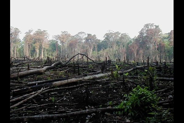 روایت بودجه ۱۴۰۵ از یک عقب‌گرد