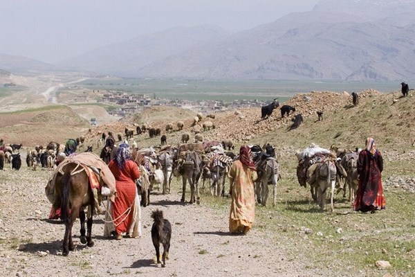 کوچ پاییزه عشایر در جنوب کرمان