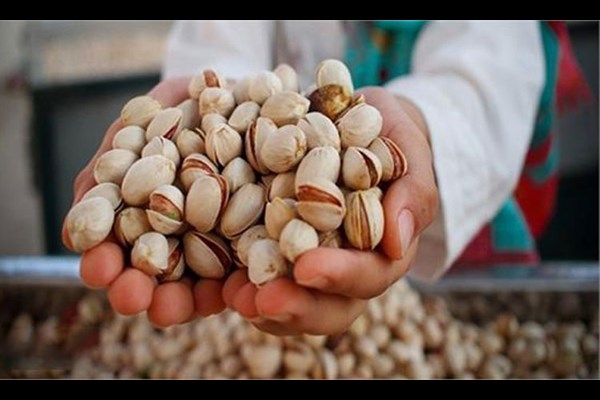 چراغ سبز اروپا به پسته ایرانی