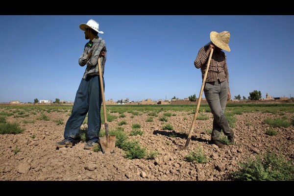 کاهش بیکاری روستاها در مرگ اشتغال کشاورزی