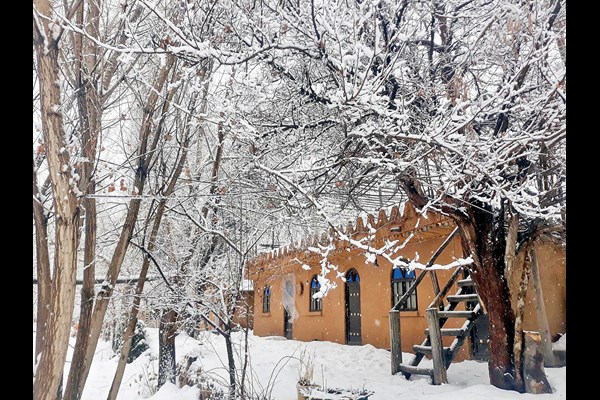 زمستان سخت بوم‌گردی‌ها