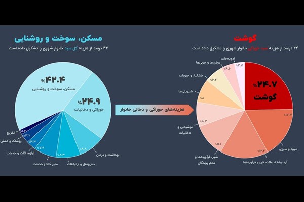 گل‌درشت‌های سبد هزینه خانوار