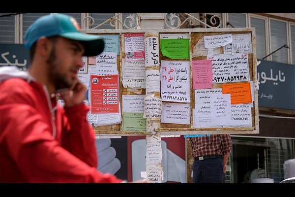 سهم بخش‌ها از اشتغال تغییر نکرد