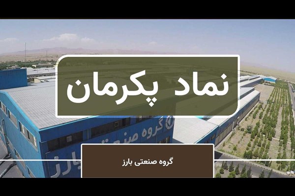 افزایش 47 درصدی فروش «پکرمان»