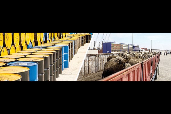 تجارت نفت در برابر غذا